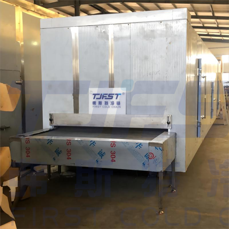 First cold chain FSW300A tunnel freezer for Pulpa frozen export Columbia 
