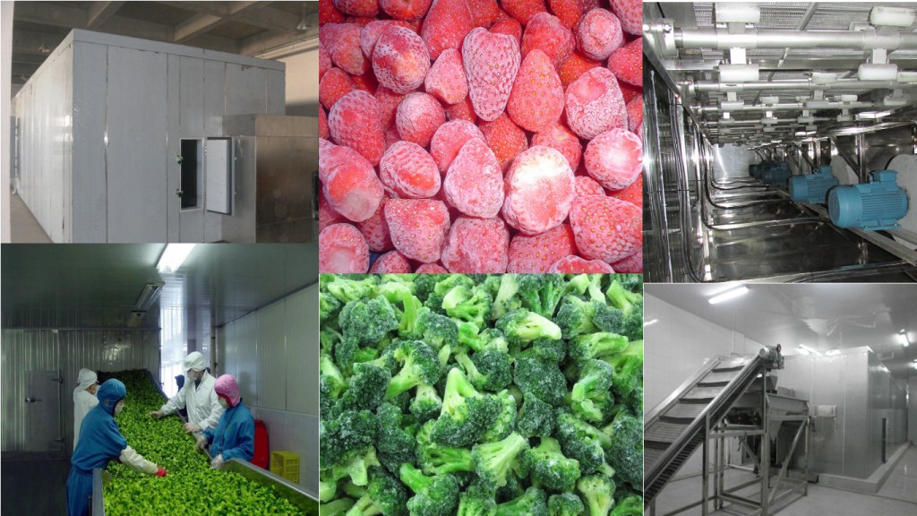High Quality Fluidized IQF Freezer 300-2000kg/h for Vegetables Fluidized Bed Freezer