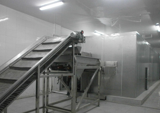 Individually Quick Freezer IQF Freezer / Fluidized Bed Freezer Machinery 300kg/h For Frozen Fries