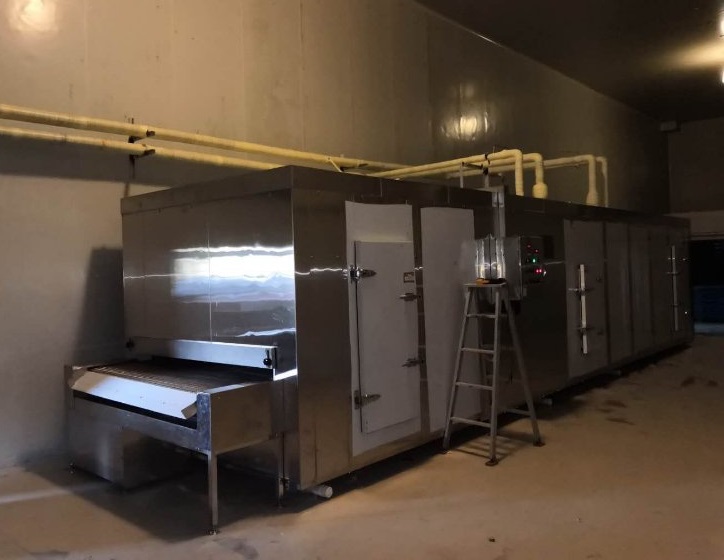 China First Cold Chain Tunnel Freezer for Food Processing Factory 