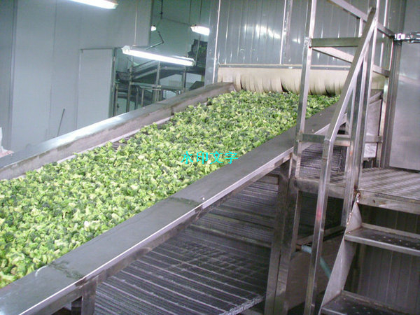 China Fluidized Bed /IQF Quick Freezing Machine for Freeze Fruits Processing 