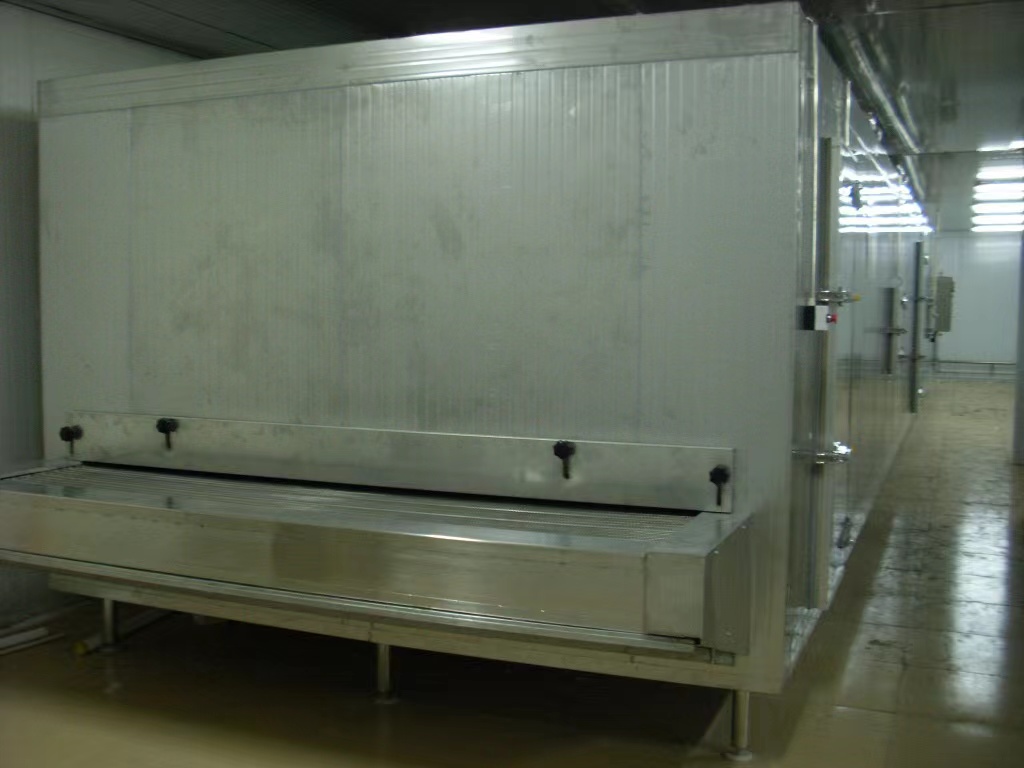 China FSW1000 Quality Tunnel Freezer for caseus duratus Processing a primo frigore catenae 