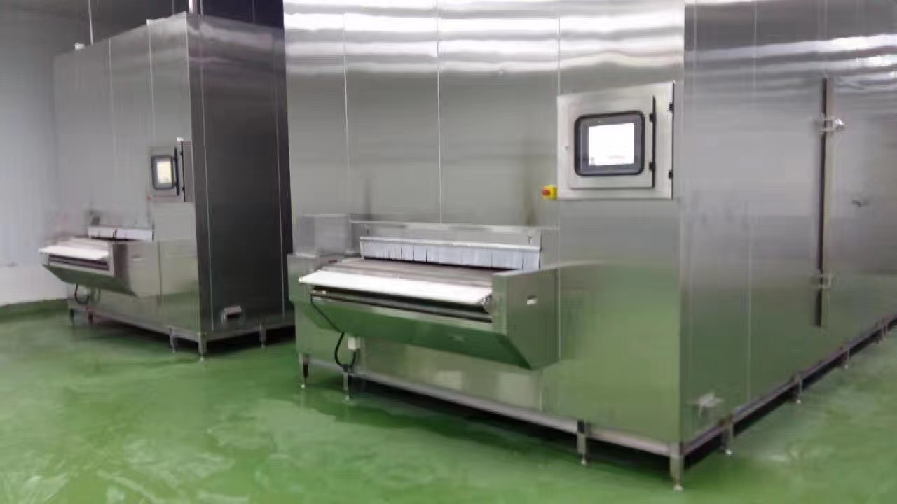 China High Quality FIW1000 Impingment Tunnel Freezer for Meatball Processing 