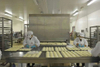 China FSW1500 Tunnel Freezer Berkualitas Tinggi untuk Pembekuan Ayam Dari Rantai Dingin Pertama 