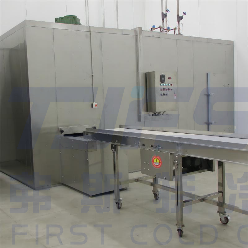 FSL Series Spiral Freezer with Stainless Steel/Instant Freezing Machinery for Frozen Food 