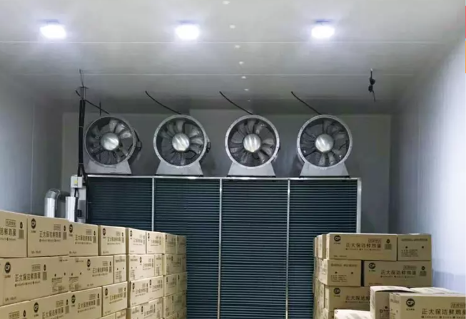 Cold room for food storage