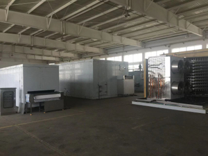 China First Cold Chain Fluidized bed IQF Freezer 200-5000kg/h for Freeze Vegetable And Fruit