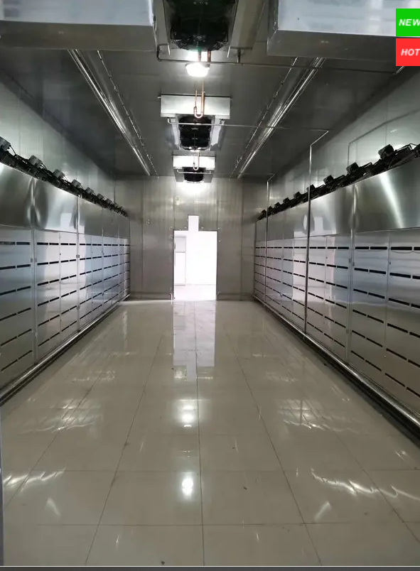 Low Temperature Thawing Machine for Meat Processing