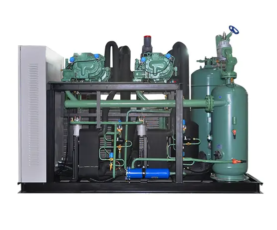 Compliant Energy-saving Bitzer Compressor Units Food Freezing