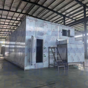 IQF Fluidized Bed French Fries Freezer | Manufacturer