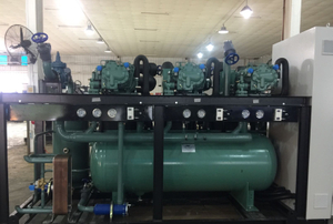 Bitzer Brand Screw Compressor Refrigeration System Design Plan for Spiral Freezer 