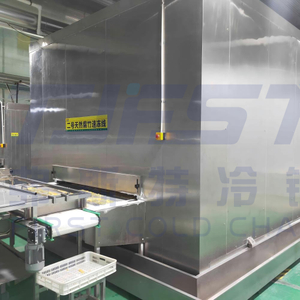 China High Effective Impingement Iqf Tunnel Freezer Machine for Kinds of cake 