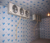 Sala di congelamento per refrigerazione/Unità frigorifero per conservazione frigorifera