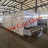 China High Quality FYW400 Tunnel Cooler Process for Rice 400KG/H 