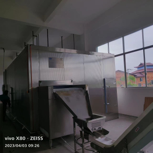 High Quality Fluidized Bed IQF Freezer FSLD5000 IQF Freezer for Blueberries From First Cold Chain 