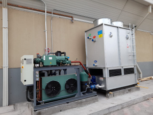 Well Known Brand Screw Compressor Refrigeration System Design Plan for Fluidized IQF Freezer 