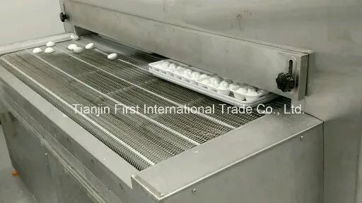 Control cabinet and conveyor belt entry point of the tunnel freezer system for automated food production lines