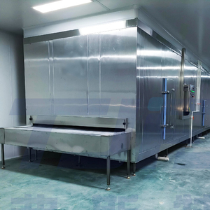 High-Quality IQF Tunnel Freezer Supplier - Rapid Freezing for Food Processing Industry Quick Freeze 