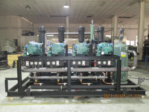 Bitzer Parallel Screw Compressor Unit Refrigeration System Design Plan for IQF Freezer 