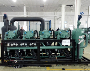  Parallel Bitzer Screw Compressor Refrigeration System Design Plan for Spiral Freezer 