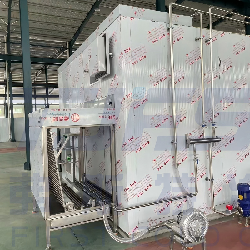 High-Efficiency Fluidized Bed IQF Freezer | Customizable for Fruits, Vegetables & French Fries